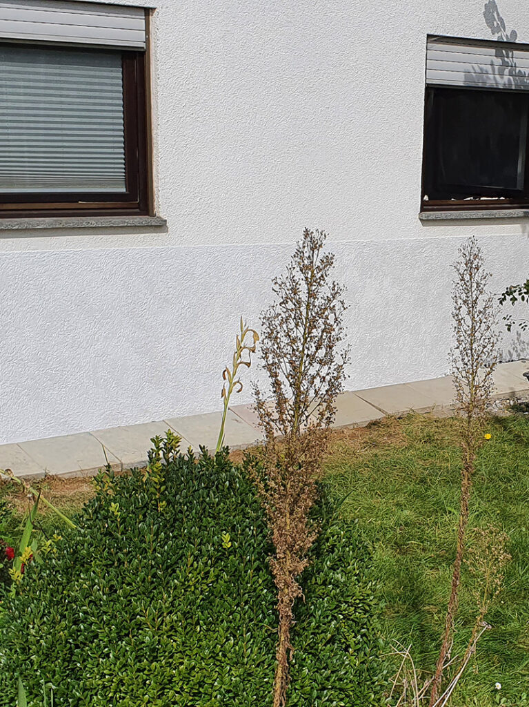 kewabo® gmbh tuttlingen referenzen